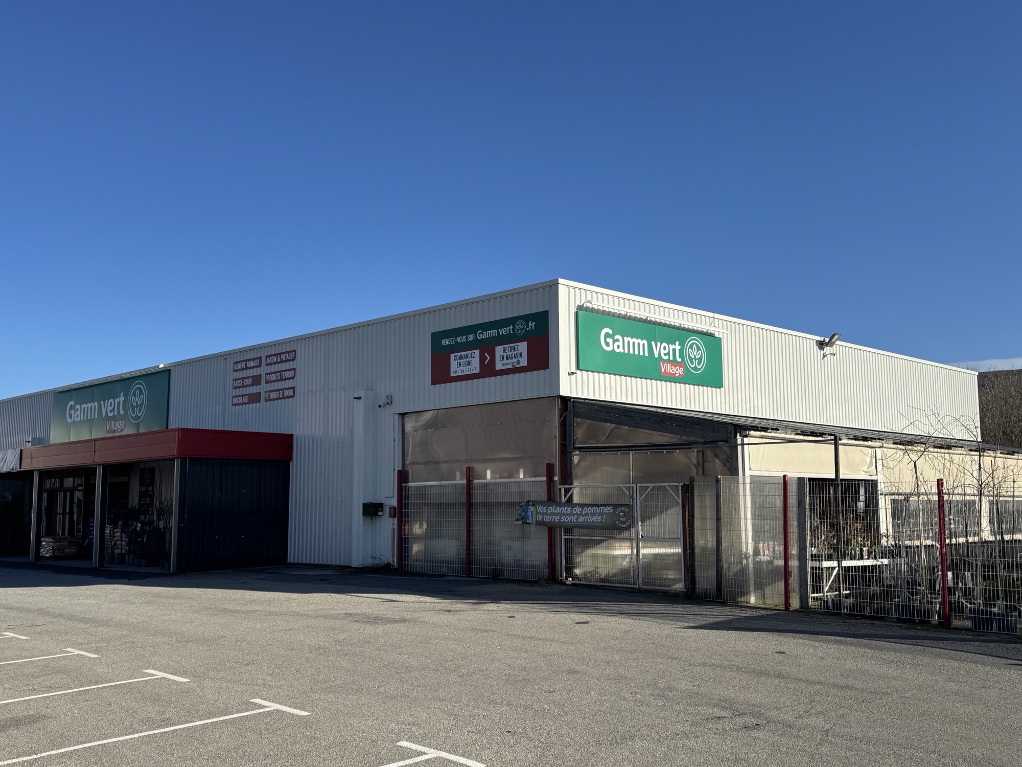 Read more about the article Lacaune