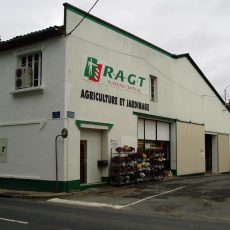 realmont