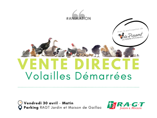 You are currently viewing Vente directe dans votre magasin de Gaillac !