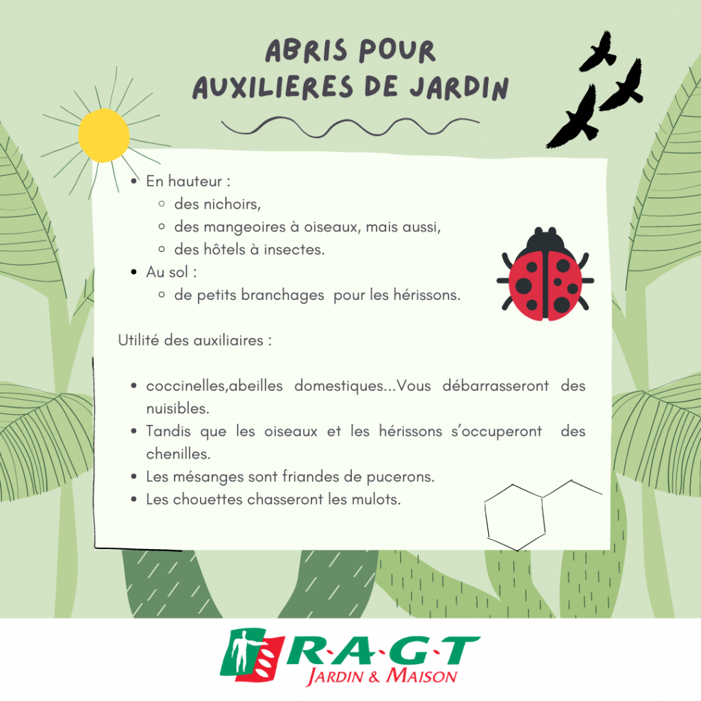 abris-pour-auxilieres-de-jardin-ragtjardinetmaison