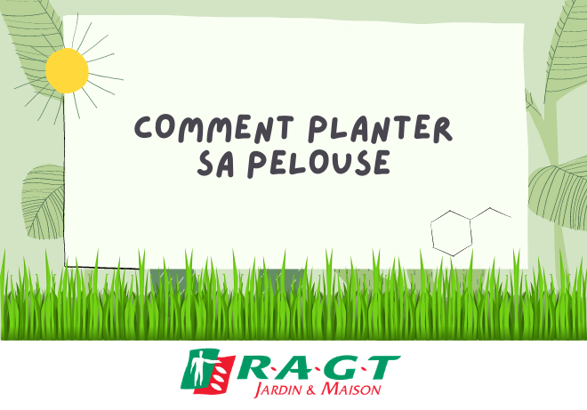 comment-planter-sa-pelouse-ragtjardinetmaison