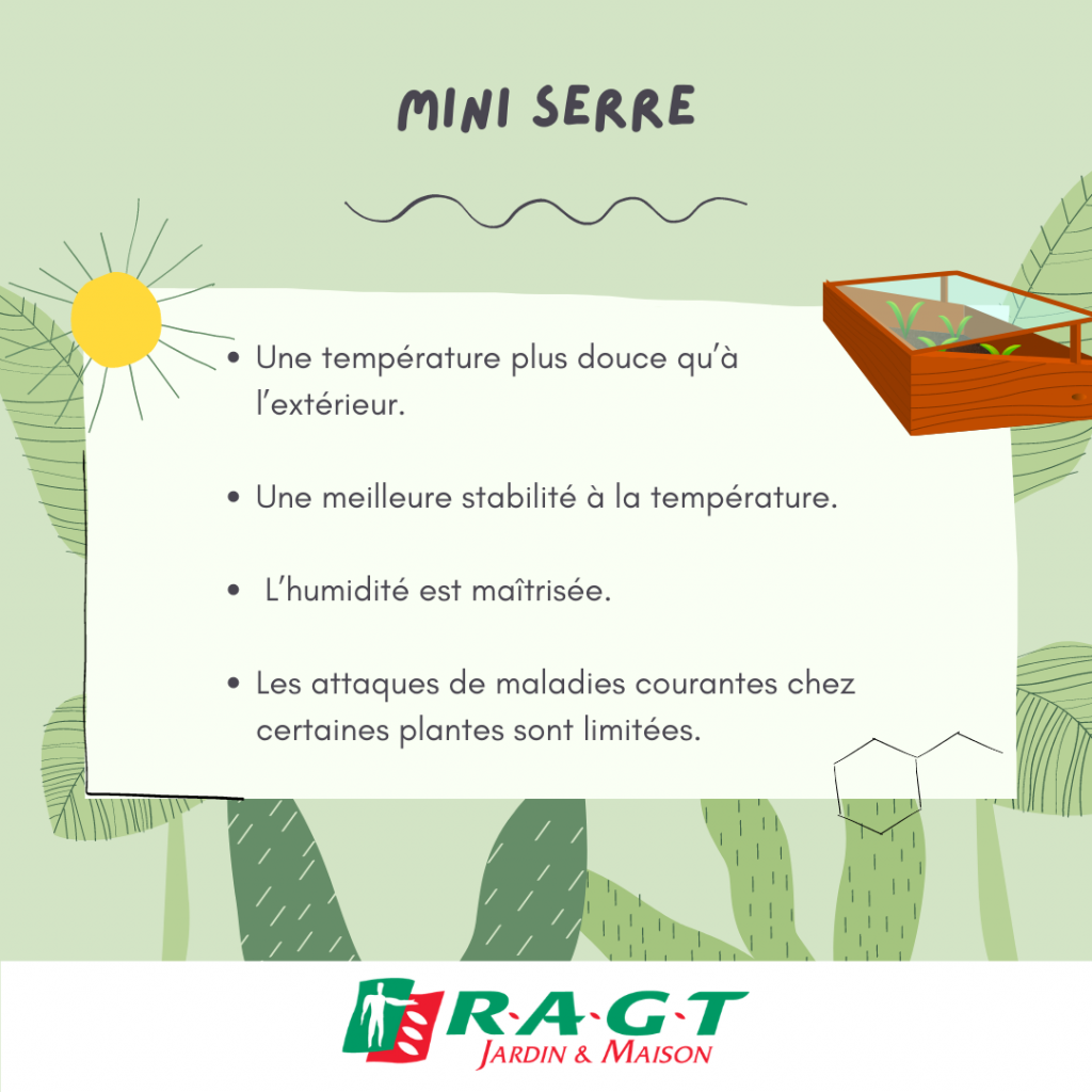 mini-serre-les- accessoires-de- semis-ragtjardinetmaison