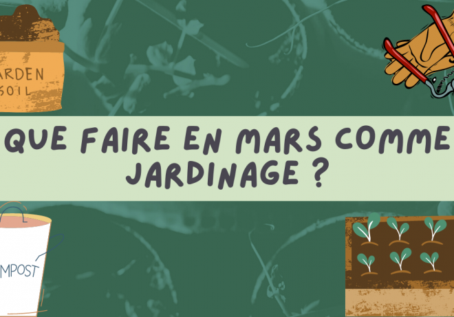 que-faire-en-mars-comme-jardinage-ragtjardinetmaison