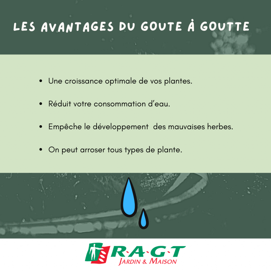 Comment fabriquer votre arrosage goutte à goutte maison ?