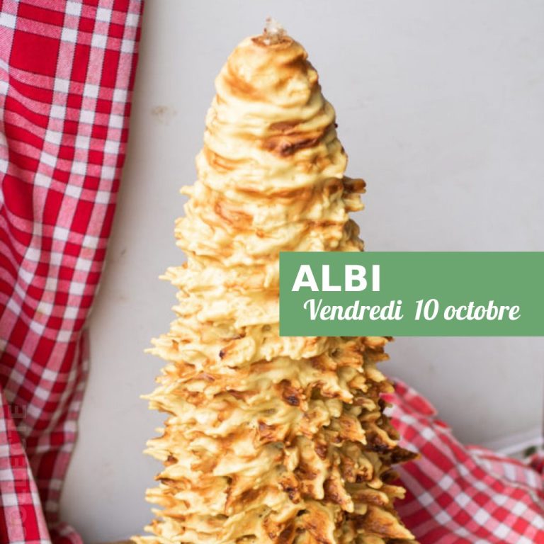 Read more about the article Dégustation gâteau à la broche Albi