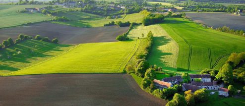 agriculture